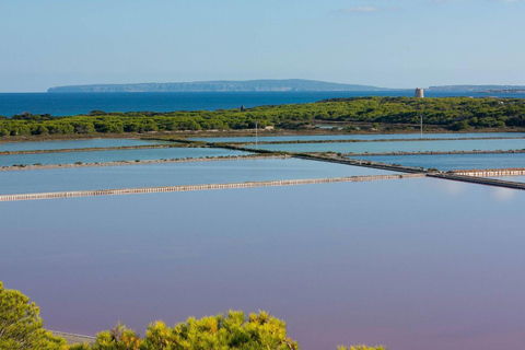 Ibiza : Les lits de sel, Es Vedra et le temps et l&#039;espace visite d&#039;une demi-journéeIbiza : Les lits de sel, Es Vedera et le temps et l&#039;espace visite d&#039;une demi-journée