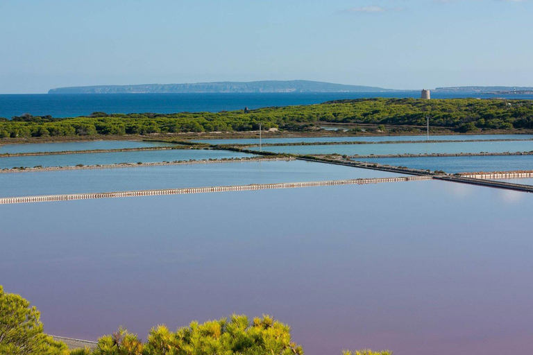 Ibiza : Les lits de sel, Es Vedra et le temps et l&#039;espace visite d&#039;une demi-journéeIbiza : Les lits de sel, Es Vedera et le temps et l&#039;espace visite d&#039;une demi-journée