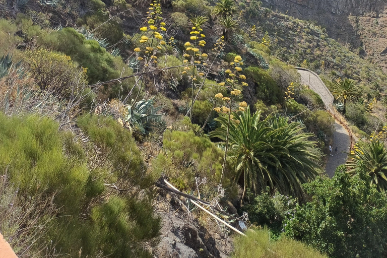 Tenerife: Masca, Los Gigantes & Natural Pools + Picnic Tour with Pick-up and Drop-off at your Hotel (South)