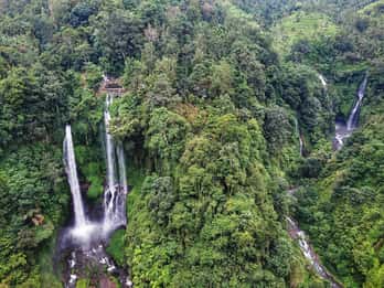 Bali: Sekumpul and Banyumala Waterfall Guided Trek