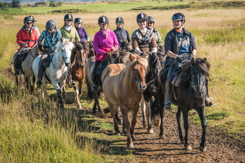 1-hour horseback ride in the south of Tenerife