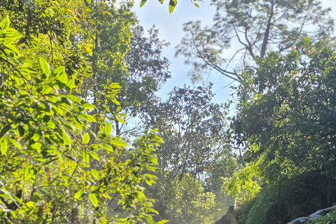 From Kathmandu: Nagarkot Sunrise and Changunarayan Hike