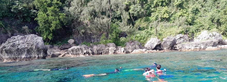 Vanuatu : excursion avec déjeuner, plongée avec tuba et observation des tortues