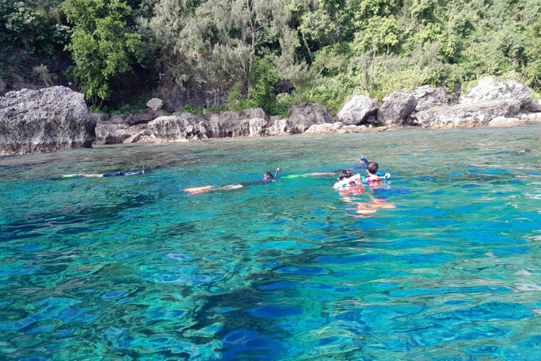 瓦努阿图：海龟与浮潜之旅（含午餐）瓦努阿图：海龟与浮潜之旅，含午餐