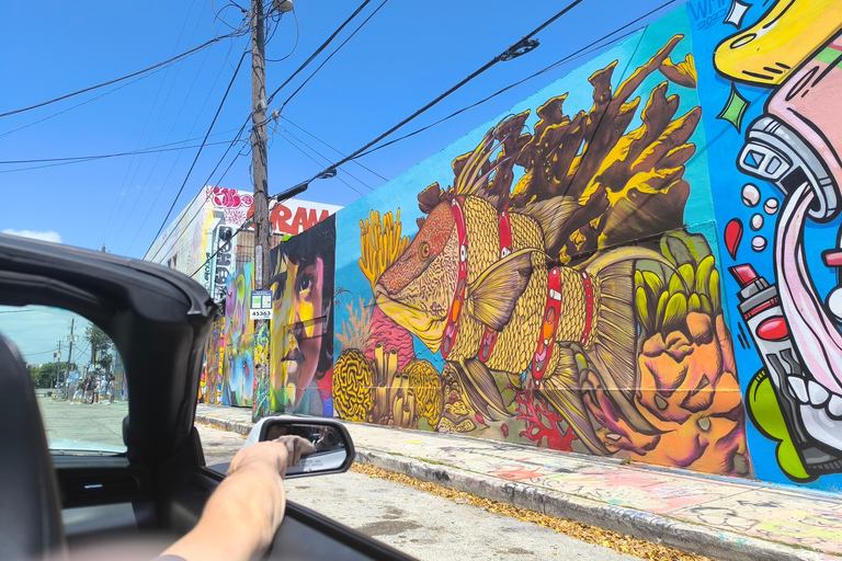 Miami: Private tour in a convertible Mustang in French