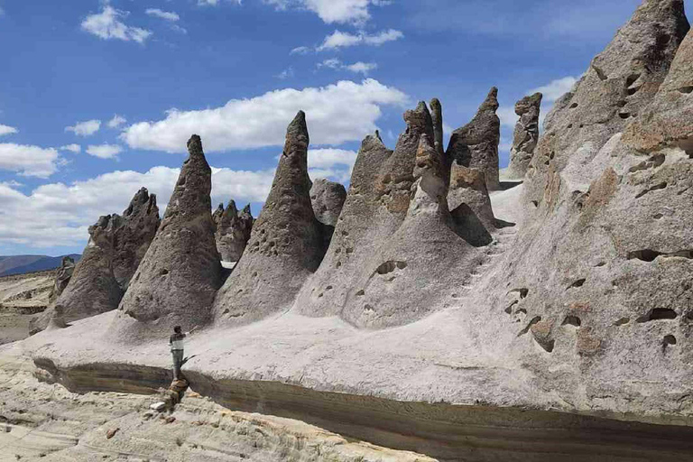 Tour de 10 horas Cachoeira de Pillones e Floresta de Pedra Puruña