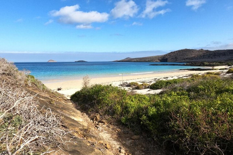 From Puerto Ayora: Floreana Island Snorkeling Day Tour