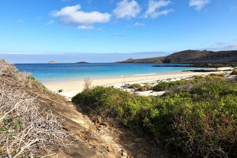 Desde Pto Ayora: Excursión de un día a Floreana y Punta CormoránDesde Pto Ayora: Excursión de un día a la parte deshabitada de Floreana