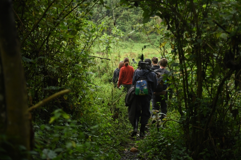 5-dniowy trekking po gorylach w Ugandzie przez Rwandę