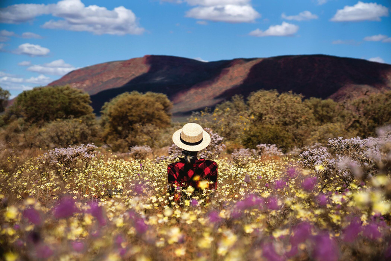 Perth: 8-Day Exmouth Tour with Ningaloo Reef Comfort Tour Twin Share Room (Adults only)