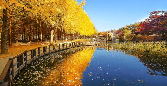 Namiseom, Petite France und Draisinen-Fahrt in Gangchon ab Seoul