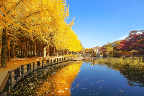 Seoul: Nami, Petite France, Italian Village, Railbike Option Group Tour from Myeongdong