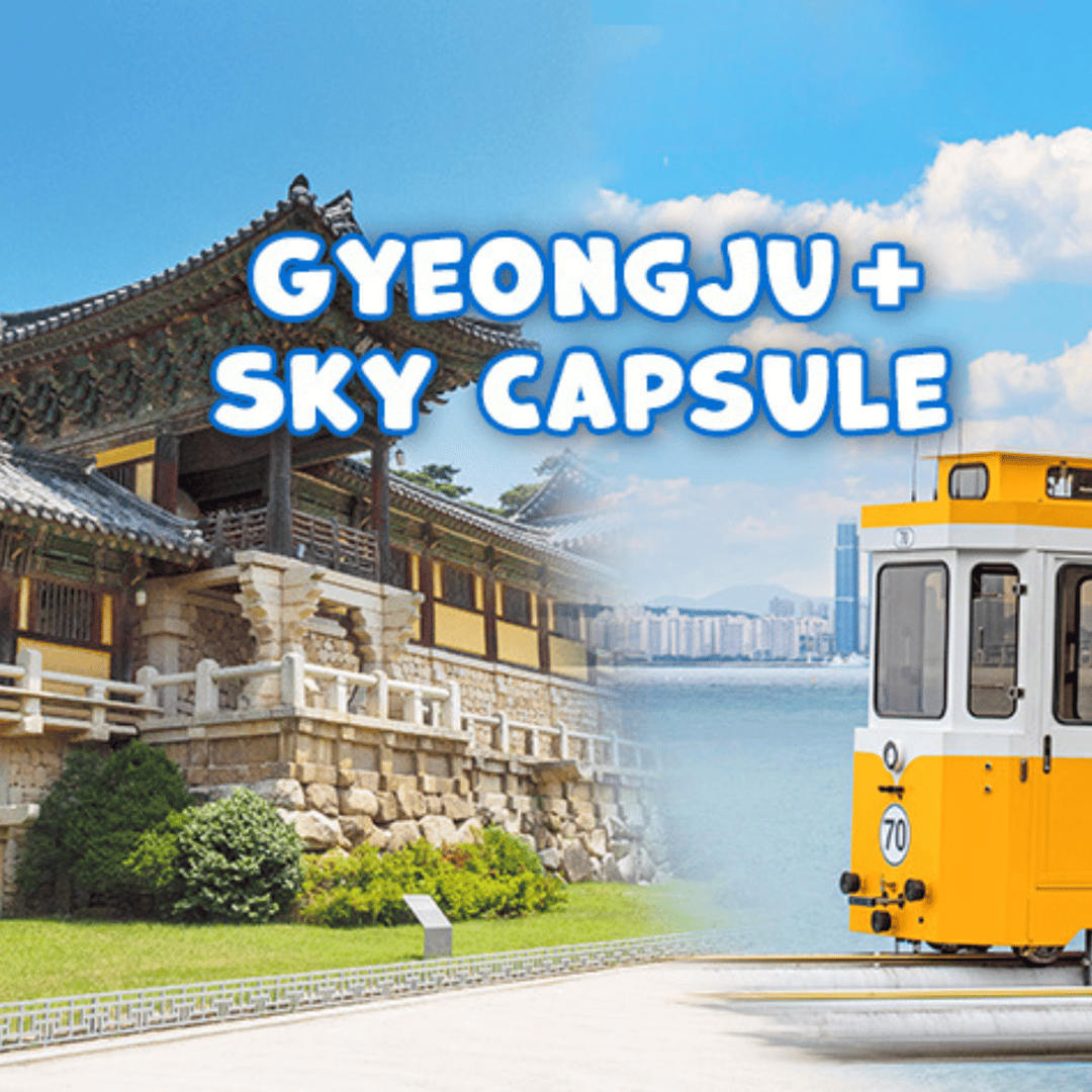 부산 출발: 스카이캡슐과 함께하는 경주 역사 당일치기 투어 | GetYourGuide