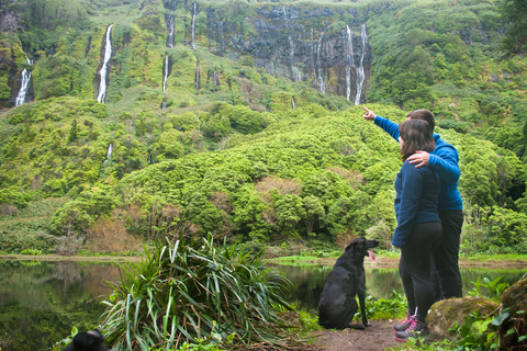 Flores : Excursion avec les chutes d'eau de Ferreiro incluses