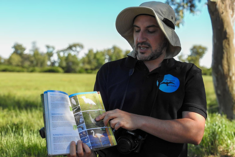 Birdwatching trip to the Uruguayan wetlands Birdwatching trip to the Uruguay Wetlands