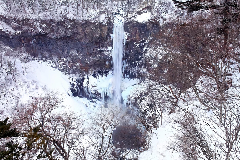 From Tokyo: Nikko Toshogu Shrine and Lake Chuzenji Day Trip Private Sightseeing Tours