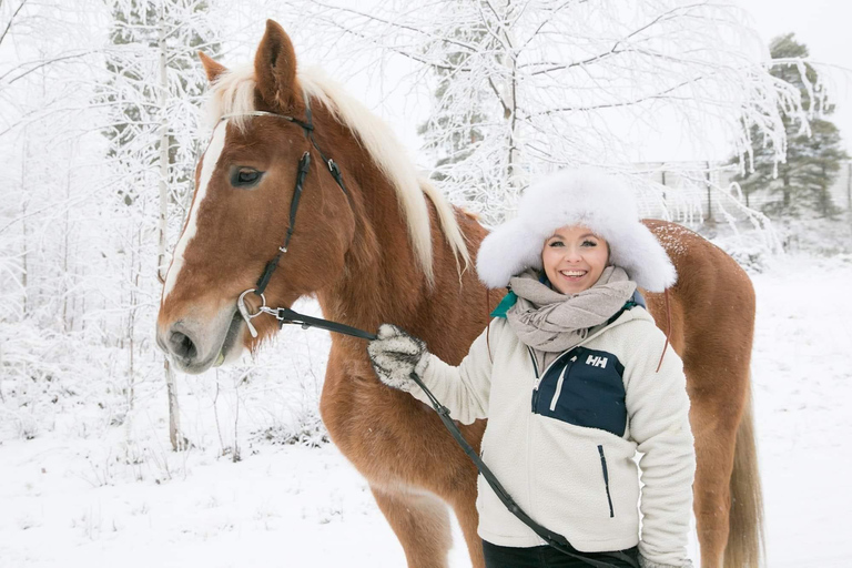 Rovaniemi : Tour d&#039;équitation avec des chevaux finlandais au SCV