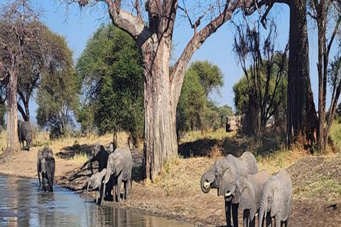 Ngorongoro & Manyara Explorer with Cycling 3-Day Scenic Safari & Cycling Escape