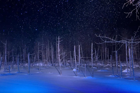 From Sapporo: Hokkaido Winter Tour with Asahiyama Zoo Comfortable 9-person Small Group: Hotel Pickup & Drop-off