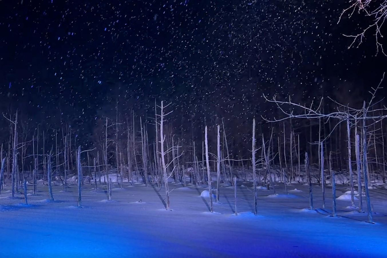 From Sapporo: Hokkaido Winter Tour with Asahiyama Zoo Comfortable 9-person Small Group: Hotel Pickup & Drop-off
