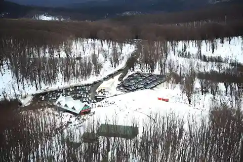 Melbourne: Excursões particulares à montanha de neve do lago e à floresta de sequóias