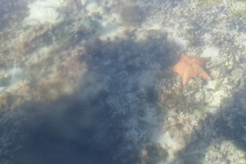 Bocas del Toro: Cayo Zapatilla, Bahía de los Delfines, Cayo Coral