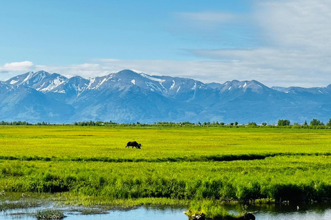 Seward to Anchorage Scenic Tour with Airport drop-off