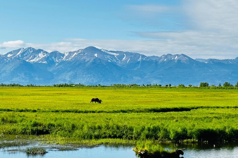 Seward to Anchorage Scenic Tour with Airport drop-off