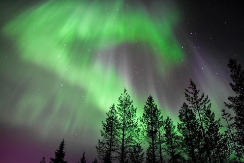 Rovaniemi: New Year's Eve Special Aurora Safari