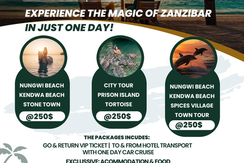 Zanzibar: 1-Day Adventure