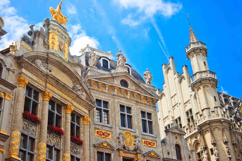 From Brussels: Brussels Tour with Waterloo and Atomium Stop