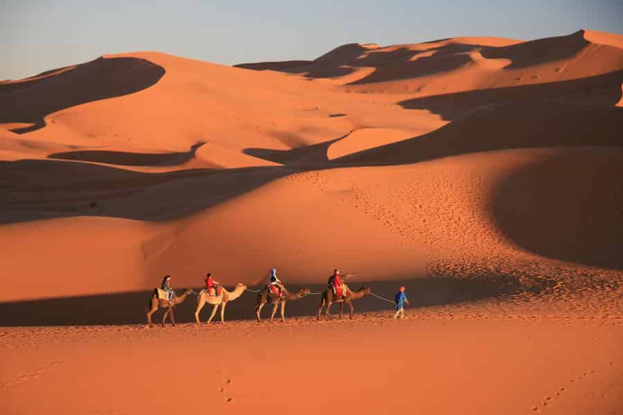 VON M'HAMID: Wüstentour mit Übernachtung zum Erg Chigaga 4x4 Kamel. Foto: GetYourGuide
