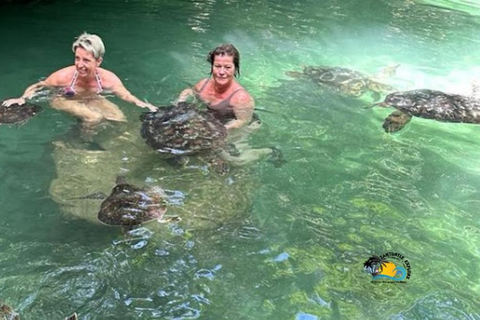 Sansibar: Nungwi Kilosa Zoo &amp; Schwimmen mitĥ Schildkröten