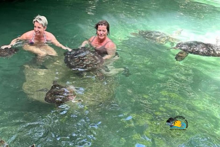 Zanzíbar: Acuario Baraka Aliméntate, Nada y Bucea con Tortugas