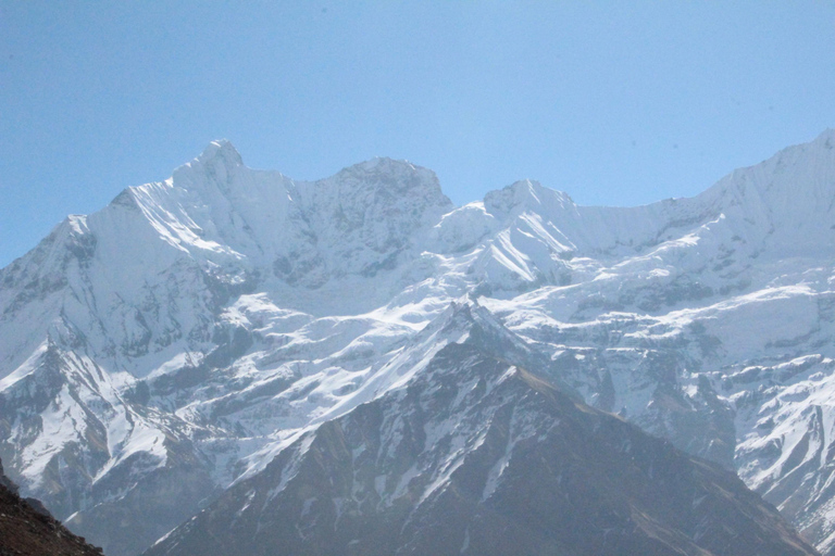 from Pokhara: 7-Day Annapurna Base Camp Trek