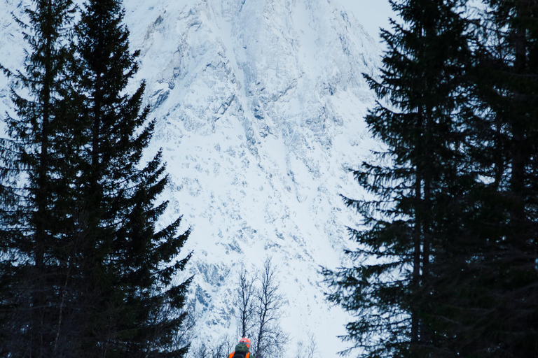 Tromsø: Lyngen Alps Snowmobile Tour with Soup &amp; Drinks