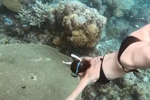 Siquijor: Fridykningsäventyr med lunch och strandtid
