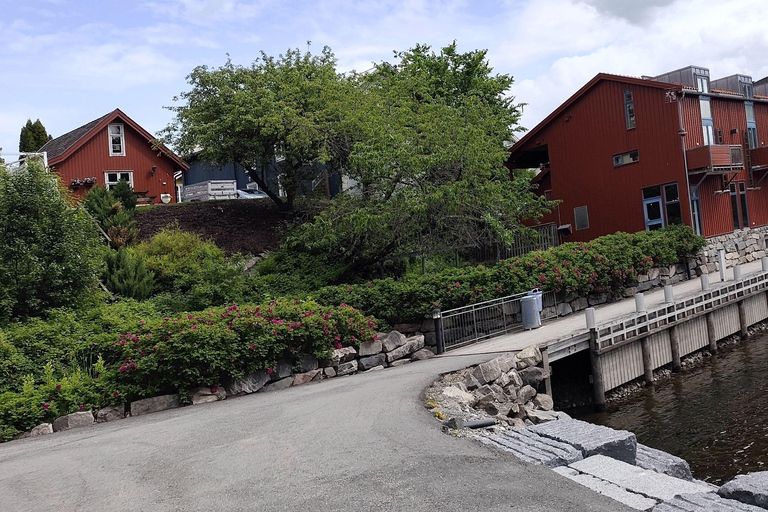 Historic Eidsvoll E-Bike Tour