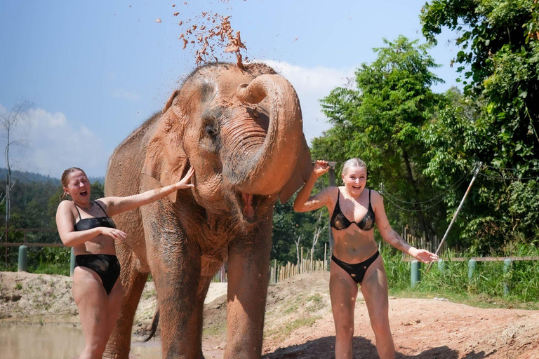 Chiang Mai Elephant Jungle Sanctuary &Mama Noi Cooking Class Sanctuary + Cooking Class in Air-Conditioned Room
