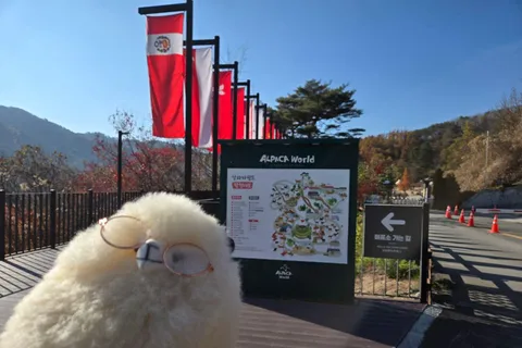 Voyage à Gangwon en 2D1N : Chuncheon-Hongcheon avec hébergement