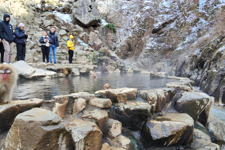 Nagano: Snow Monkeys, Obuse, & Hot Spring Foot Bath Tour