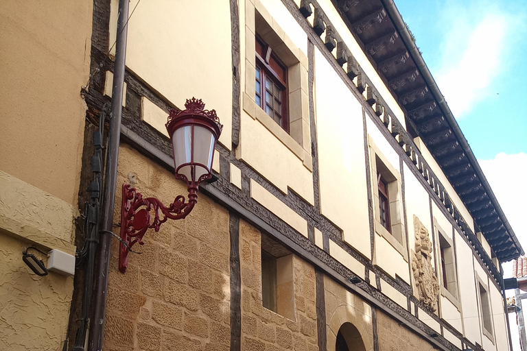 Haro La Rioja: City Tour Express + Tasting Tasting of 4 wines