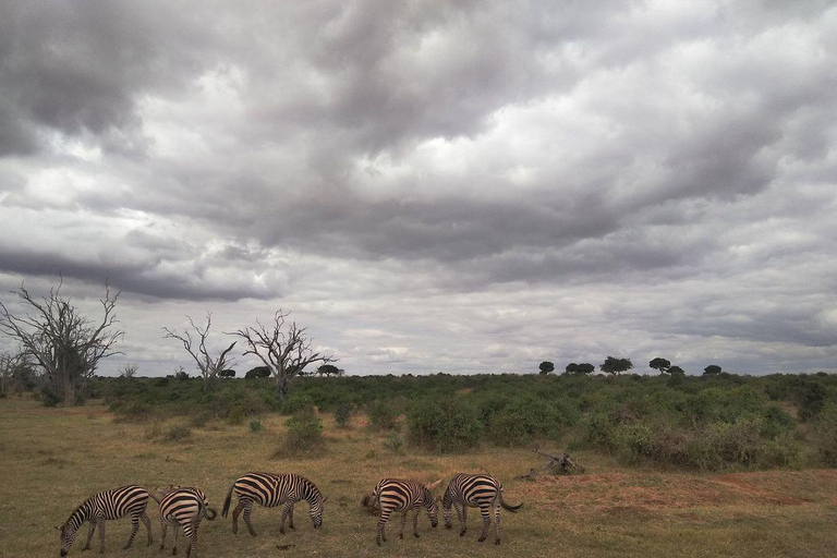 Mombasa/Diani: 2-Day Tsavo East Safari with Meals Private day tour to Tsavo East National Park - VAN