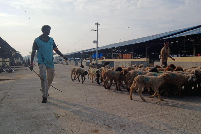 Bombay: Visita guiada al Matadero de Deonar