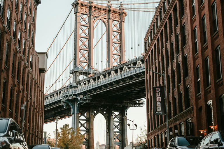 NYC Borough Tour Explore Manhattan, Bronx, Queens & Brooklyn Private group 1-5