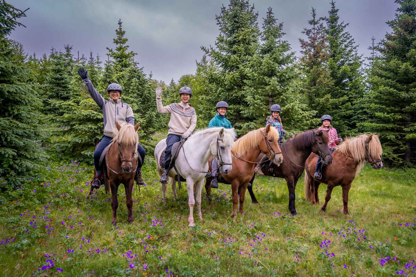 Reykjavik: Tour di Equitazione pomeridiano in Piccolo Gruppo