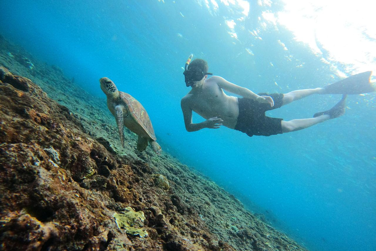 From Bali: Private Boat Nusa Penida 3-Spots Manta Snorkeling Start from Bali with Meeting Point at Sanur Port