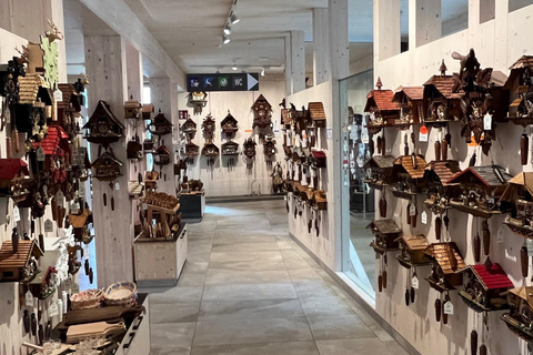 Vanuit Bazel: privé-excursie naar het Zwarte Woud, watervallen en meren