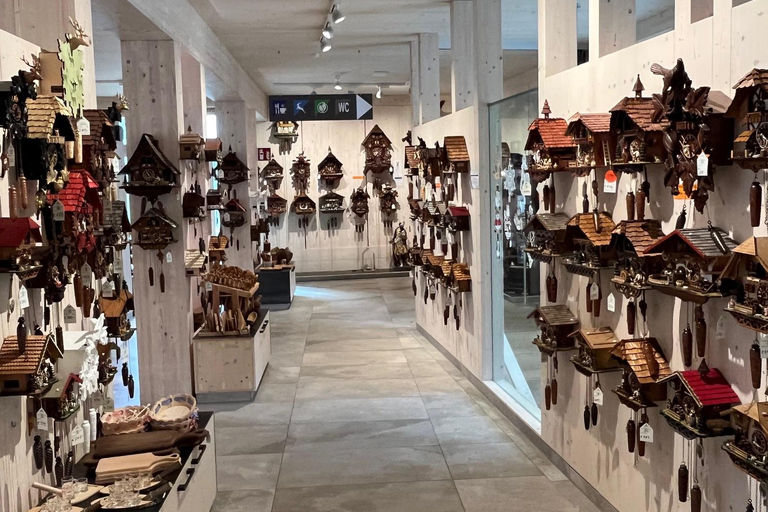 Vanuit Bazel: privé-excursie naar het Zwarte Woud, watervallen en meren