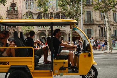 Barcelona: Electric Tuk-Tuk Tour with Local Guide